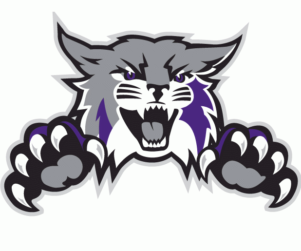 Weber State Wildcats 2012-Pres Alternate Logo t shirts DIY iron ons
